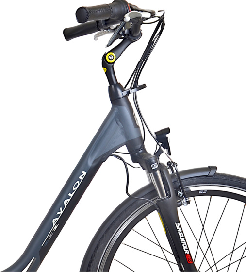 Vélos de ville électriques E-City+ 28 Pouces 54 cm Femme 7SP Rollerbrakes Anthracite - Avalon – Image 12