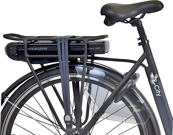 Vélos de ville électriques E-City+ 28 Pouces 54 cm Femme 7SP Rollerbrakes Anthracite - Avalon – Image 13