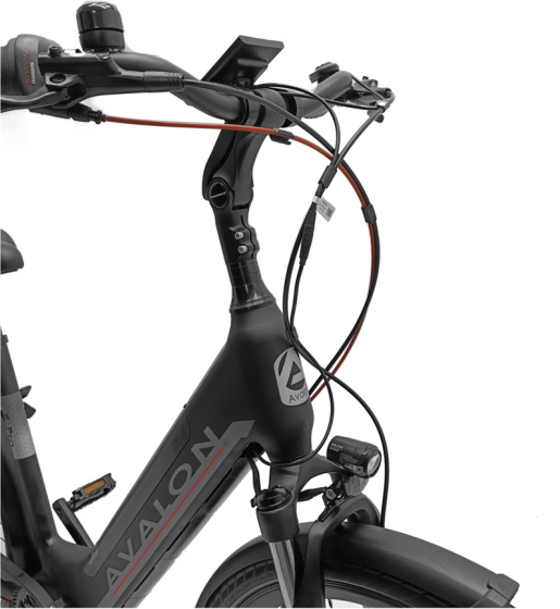 Vélos de ville électriques E-Pro 28 Pouces 54 cm Femme 8SP Hydraulique Frein à disque Noir mat - Avalon – Image 2
