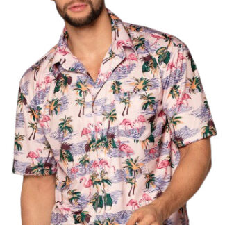Habillage Chemisier Flamingo Polyester Hommes Taille L - Boland