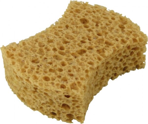 Sponges éponge extra fort 16 x 12 x 6 cm - Protecton – Image 2
