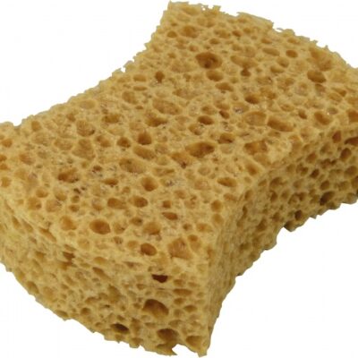 Sponges éponge extra fort 16 x 12 x 6 cm - Protecton