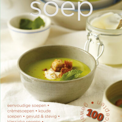 Livres Carnets de notes culinaires Soupe vert clair - Rebo Productions