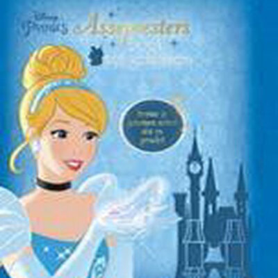 Journaux Agenda Cendrillon junior bleu - Rebo Productions