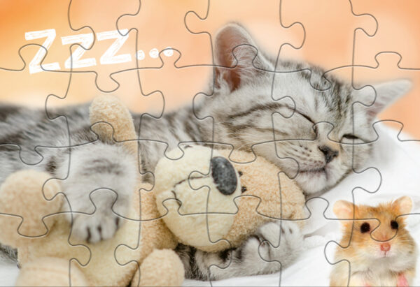 Puzzles Babydieren puzzle junior 24/24 pièces - Rebo Productions – Image 3