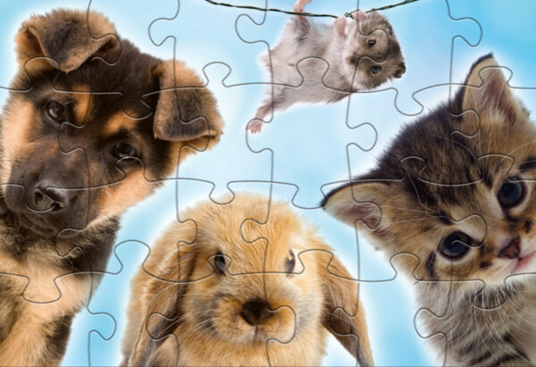 Puzzles Babydieren puzzle junior 24/24 pièces - Rebo Productions – Image 4