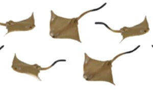 Playing figures Rays play animal set junior 2 cm brown 192 pieces - Safari