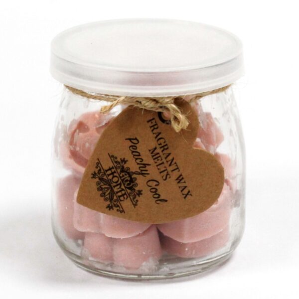 Pot fondant de cire de soja - Peachy Cool- Vendu par 1