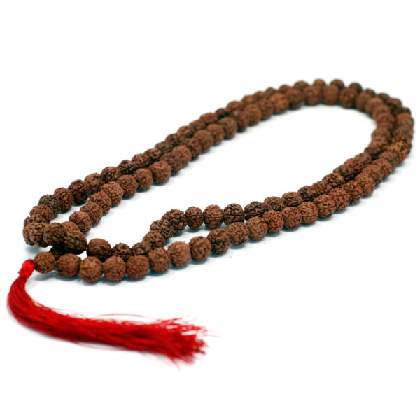 108 Rudraksha Mala - Marron- Vendu par 1