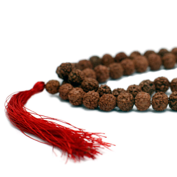 108 Rudraksha Mala - Marron- Vendu par 1 – Image 2
