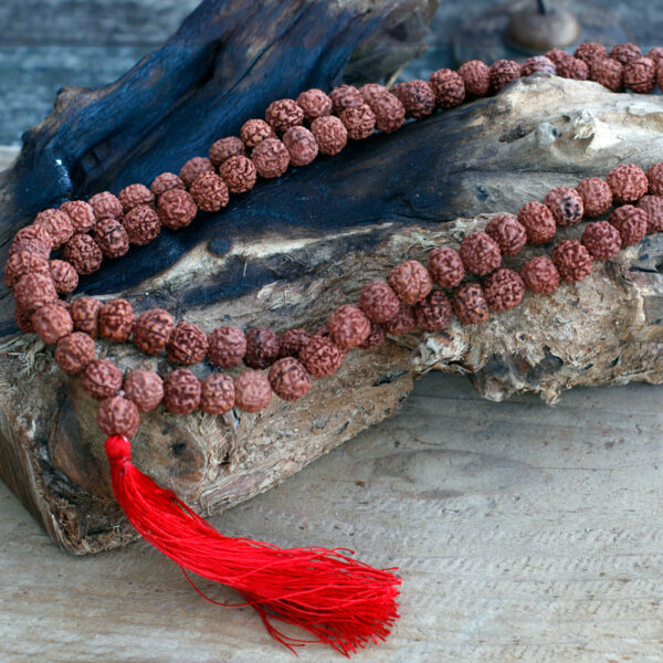 108 Rudraksha Mala - Marron- Vendu par 1 – Image 4