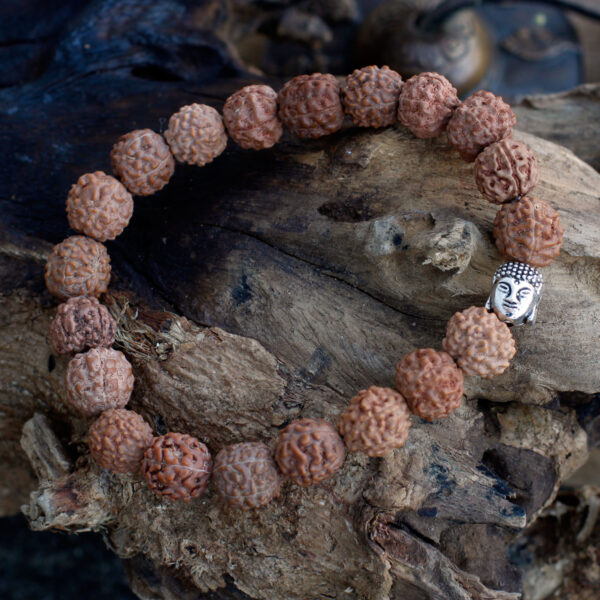 Bracelet Mala Rudraksha Bouddha - Naturel- Vendu par 1 – Image 2