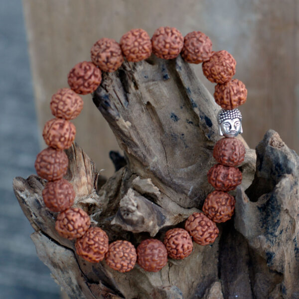 Bracelet Mala Rudraksha Bouddha - Naturel- Vendu par 1 – Image 4