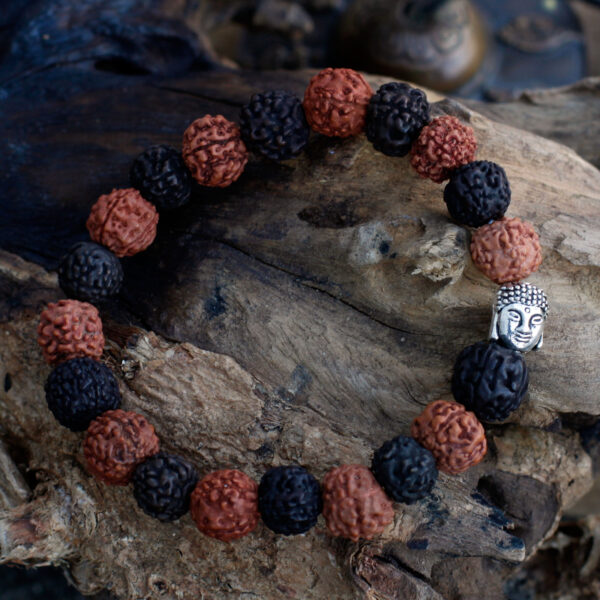 Bracelet Mala Rudraksha Buddah - Mélange- Vendu par 1 – Image 2