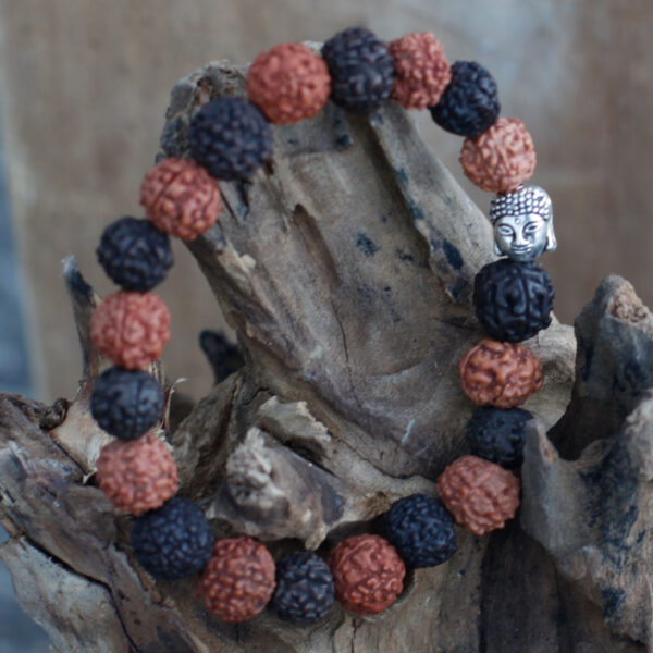 Bracelet Mala Rudraksha Buddah - Mélange- Vendu par 1 – Image 4