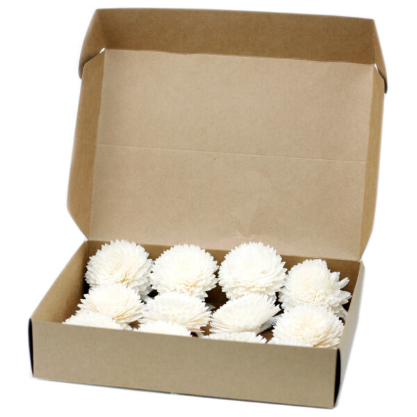 Fleurs naturelles pour diffuseur - Oeillet Lrg sur ficelle- Vendu par 1