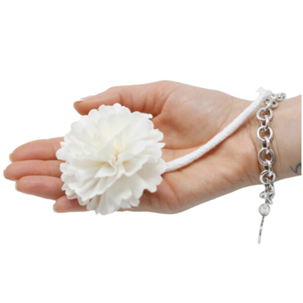 Fleurs naturelles pour diffuseur - Oeillet Med sur ficelle- Vendu par 1