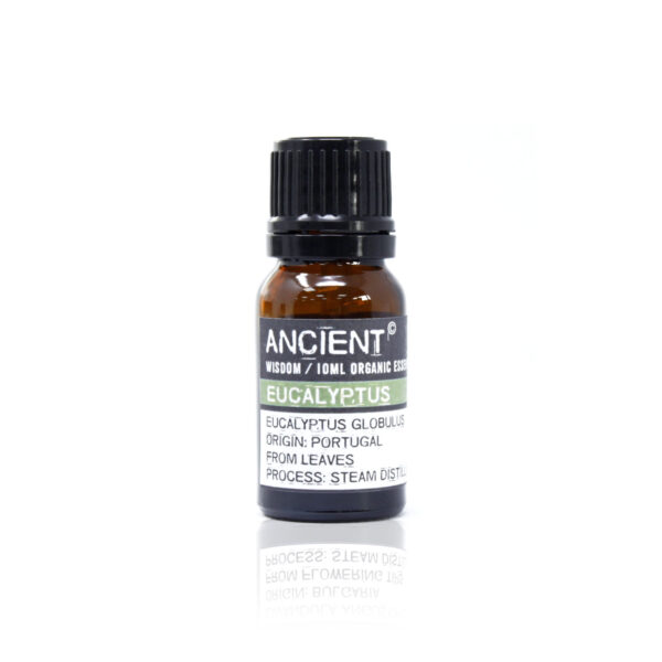 Huile Essentielle d'Eucalyptus Bio 10 ml- Vendu par 1
