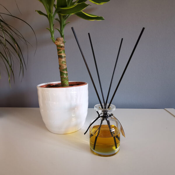 Bâtonnets de diffuseur de roseaux verts -25 cm x 3 mm - 500 g- Vendu par 1 – Image 4