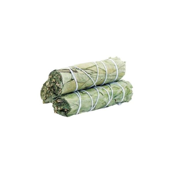 Smudge Stick - Eucalyptus Sauge 10cm- Vendu par 1 – Image 2