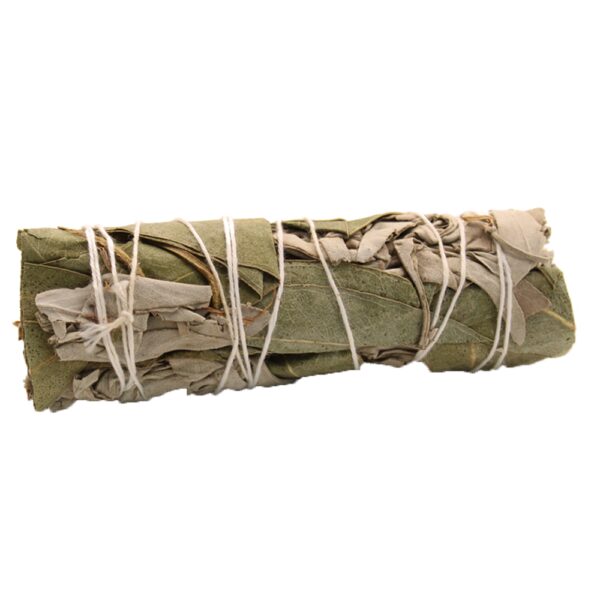 Smudge Stick - Sauge Blanche & Cèdre 10cm- Vendu par 1 – Image 2