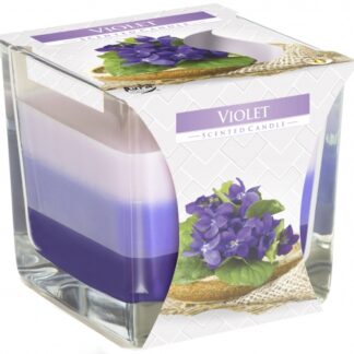 Pot à Bougie Arc-en-Ciel - Violette- Vendu par 1