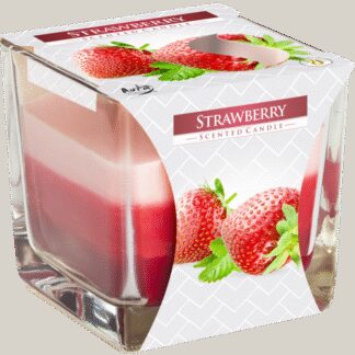Bougie Pot Arc-en-Ciel - Fraise- Vendu par 1
