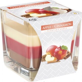 Bougie Pot Arc-en-Ciel - Pomme et Cannelle- Vendu par 1
