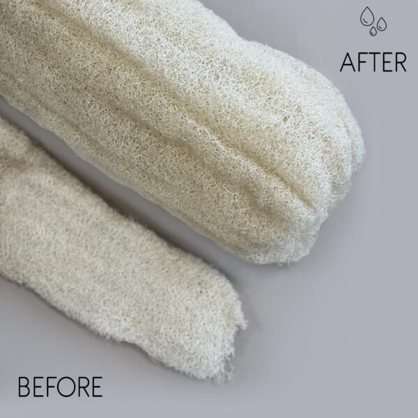 Loofah égyptien de luxe entier - Compressé - 23 cm- Vendu par 1 – Image 2