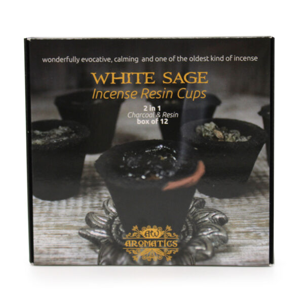 Boîte de 12 Gobelets en Résine - Sauge Blanche- Vendu par 1