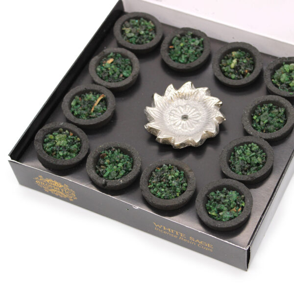 Boîte de 12 Gobelets en Résine - Sauge Blanche- Vendu par 1 – Image 2