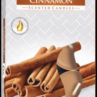 Coffret de 6 Bougies Chauffe-Plat Parfumées - Cannelle- Vendu par 1