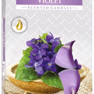 Lot de 6 bougies chauffe-plat parfumées - Violette- Vendu par 1