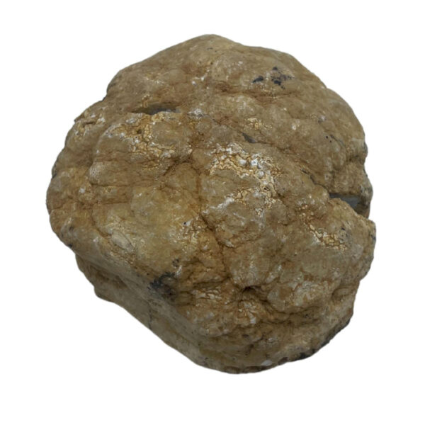 Géodes de calsite colorées - Roche naturelle - Violet et Or- Vendu par 1 – Image 4