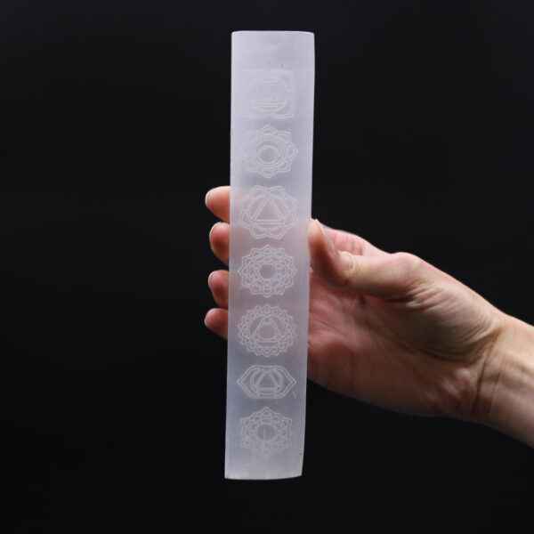Plaque de chargement à barre plate 20 cm - Chakra- Vendu par 1 – Image 2