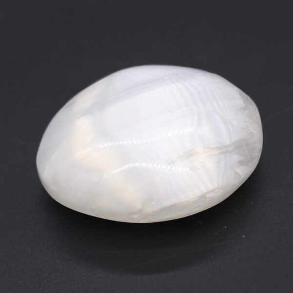 Pierre de Palmier Sélénite - 8 cm- Vendu par 1 – Image 3