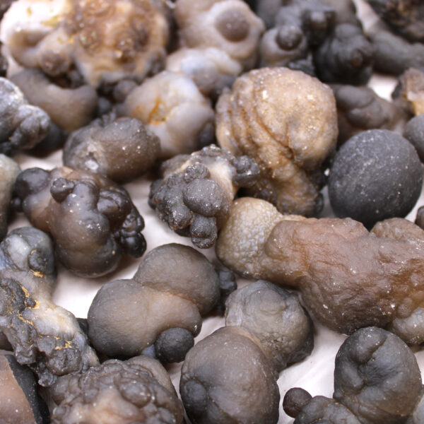 Spécimens minéraux - Calsidone (environ 100 pièces)- Vendu par 1 – Image 3