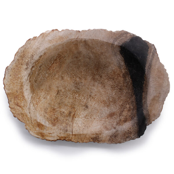 Porte-savon noir en bois pétrifié- Vendu par 1 – Image 3