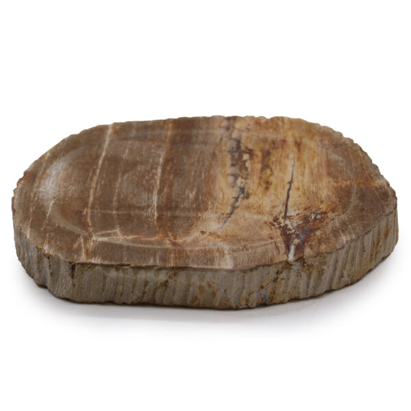 Plat de savon brun en bois pétrifié- Vendu par 1