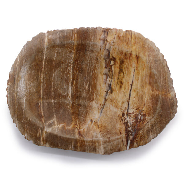 Plat de savon brun en bois pétrifié- Vendu par 1 – Image 2