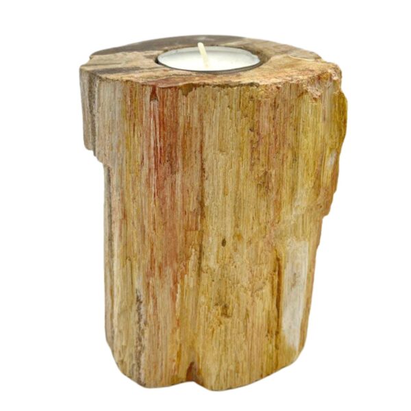Bougeoir en bois pétrifié - Simple haut- Vendu par 1