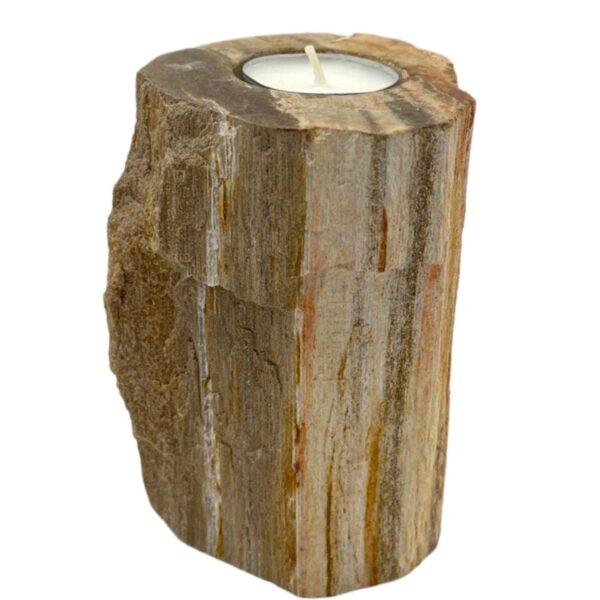 Bougeoir en bois pétrifié - Simple haut- Vendu par 1 – Image 2