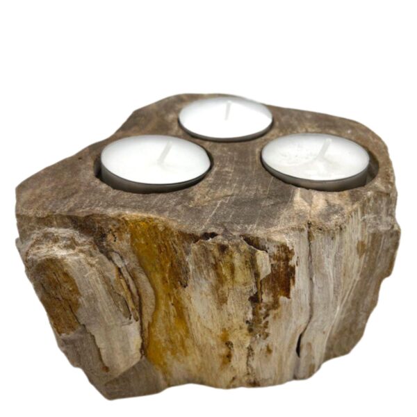 Bougeoir en Bois Pétrifié - Triple- Vendu par 1