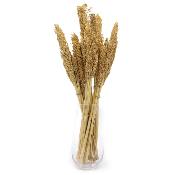 Bouquet d'herbes du Cantal - Naturel- Vendu par 6 – Image 4