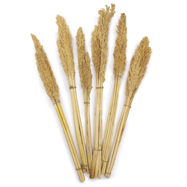 Bouquet d'herbes du Cantal - Naturel- Vendu par 6 – Image 2