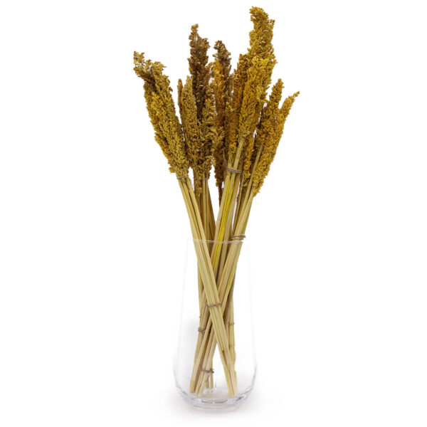 Bouquet d'herbes du Cantal - Ambre- Vendu par 6 – Image 3