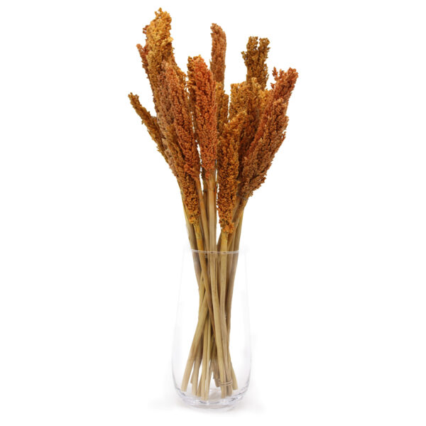 Bouquet d'herbes du Cantal - Orange- Vendu par 6 – Image 3
