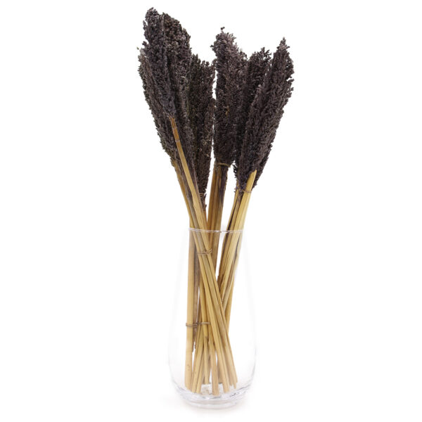 Bouquet d'herbes du Cantal - Noir- Vendu par 6 – Image 3