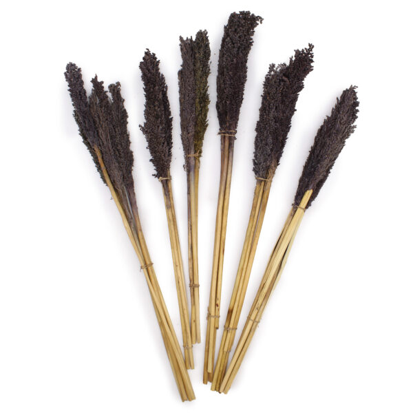 Bouquet d'herbes du Cantal - Noir- Vendu par 6 – Image 2