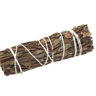 Smudge Stick - Sauge des Montagnes 10 cm- Vendu par 1